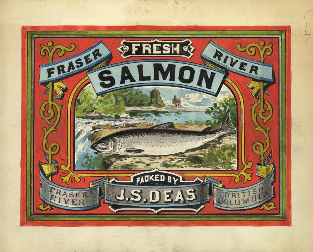 decorative salmon can label