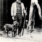 Willis Stark and the cougar (1900)