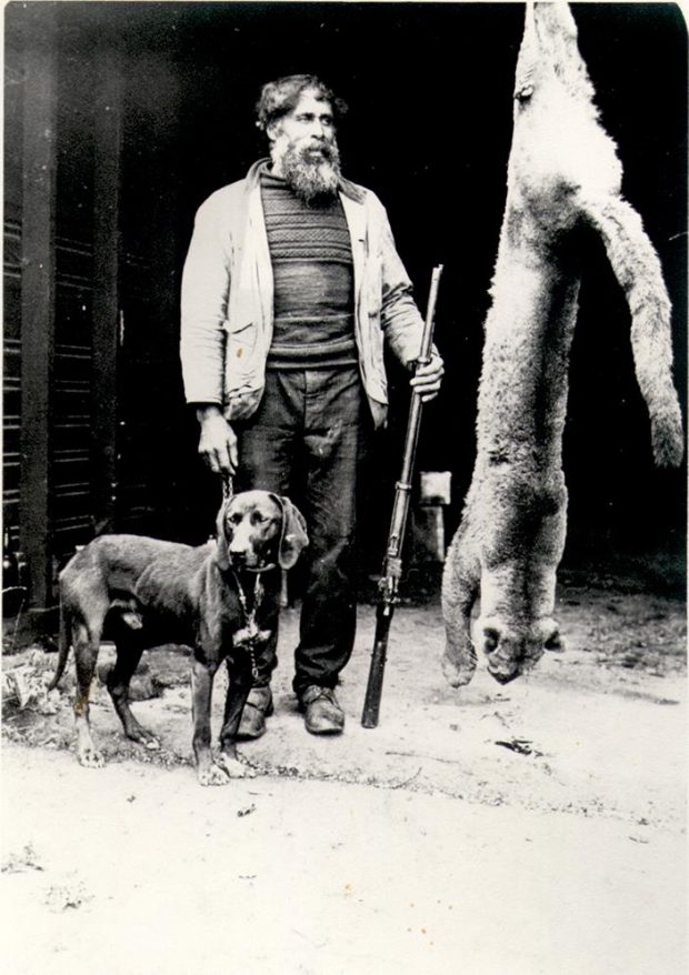 man with full beard, holding rifle upright, dog to the left, cougar carcase hanging on right, estimated length paws to tail is 9 feet.