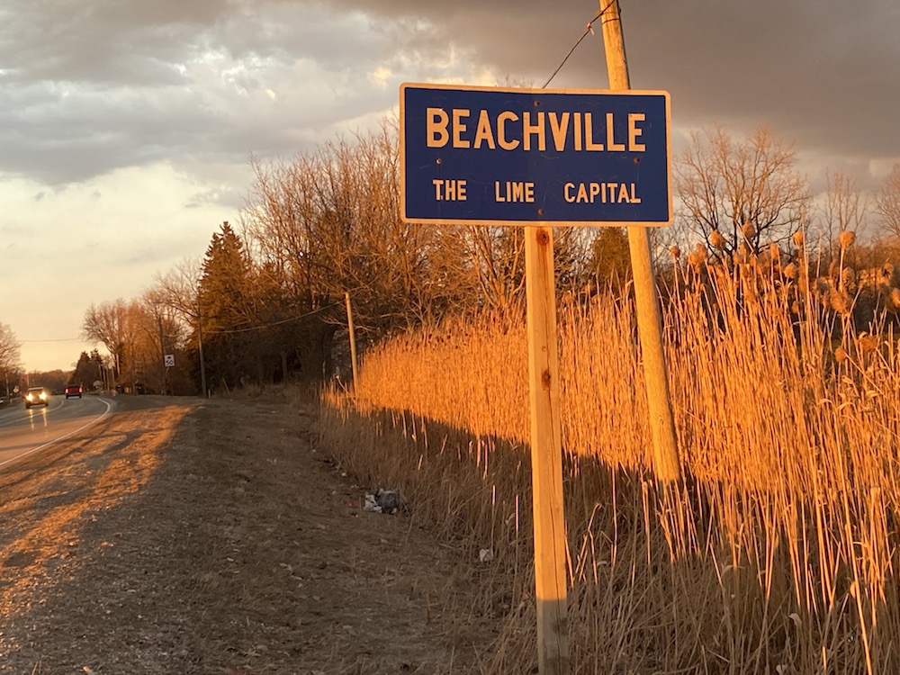 A colour photograph of a blue road sign beside high grasses, Sign reads Beachville The Lime Capital