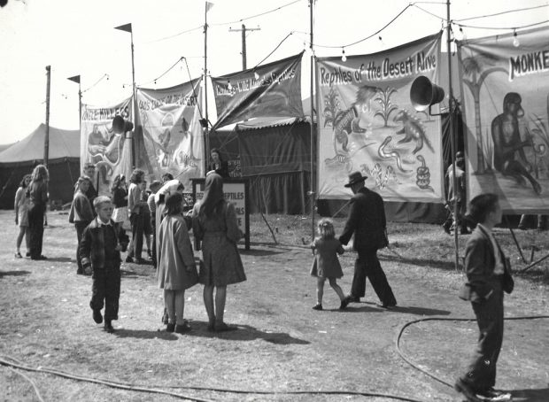 Black and white photo of people gathered around bannerline for an exotic animal sideshow featuring large painted banners with monkeys, reptiles and other animals with a person standing at a podium in the background