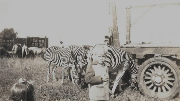 Black and white photo of small boy and girl in front of a group of zebras with Cole Bros. Circus logo on a transportation vehicle in the background