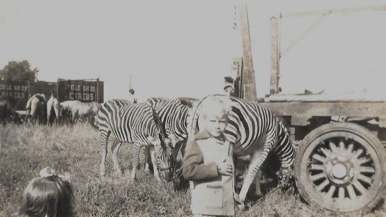 Black and white photo of small boy and girl in front of a group of zebras with Cole Bros. Circus logo on a transportation vehicle in the background