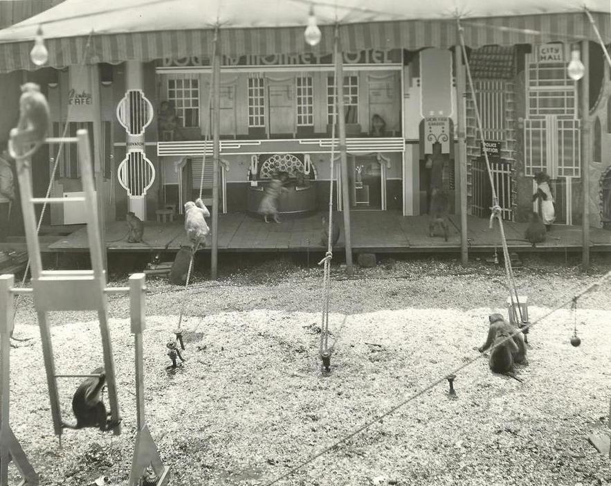 Black and white photo of small monkeys in a dog and monkey hotel sideshow, there is a tent with lights set up and scenery that includes a fake cafe and city mall, a couple of monkeys are wearing outfits