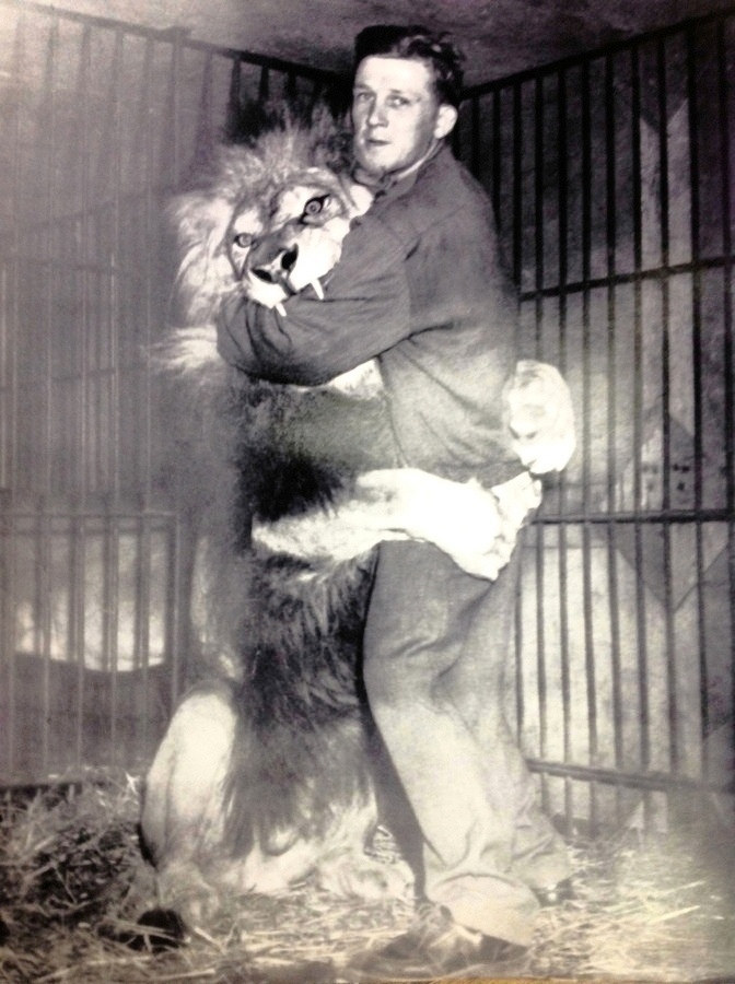 Black and white photo of young Bingo Hauser with lion Simba, both standing upright, Simba has his paws wrapped around Bingo and his mouth around his arm with a couple of sharp teeth showing