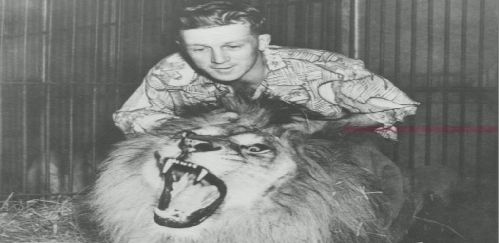 Black and white photo of young Bingo Hauser above his lion Simba, the lion has his mouth wide open and is showing sharp teeth