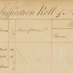 Inspection Roll of Negroes