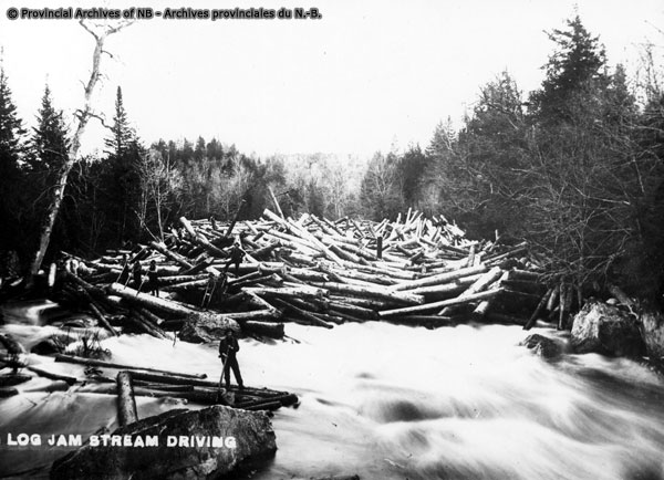 1890's black and white photograph of a log jam, showing logs daming the river, with men standing on the logs ready to clear the jam.