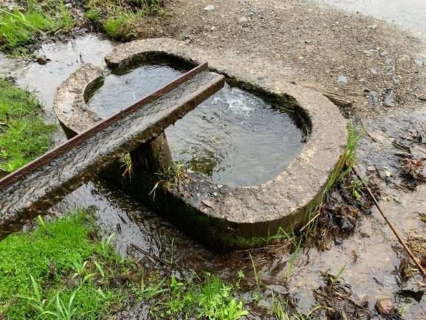 Photograph of a natural spring of water flowing into a small stone tub.