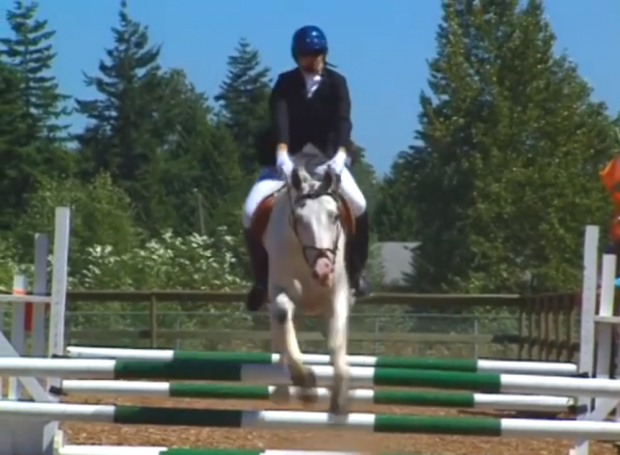 An equestrian practices in the jumping ring at the Campbell Valley Equestrian Centre in Surrey.