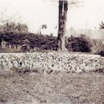 Circular Flower Beds