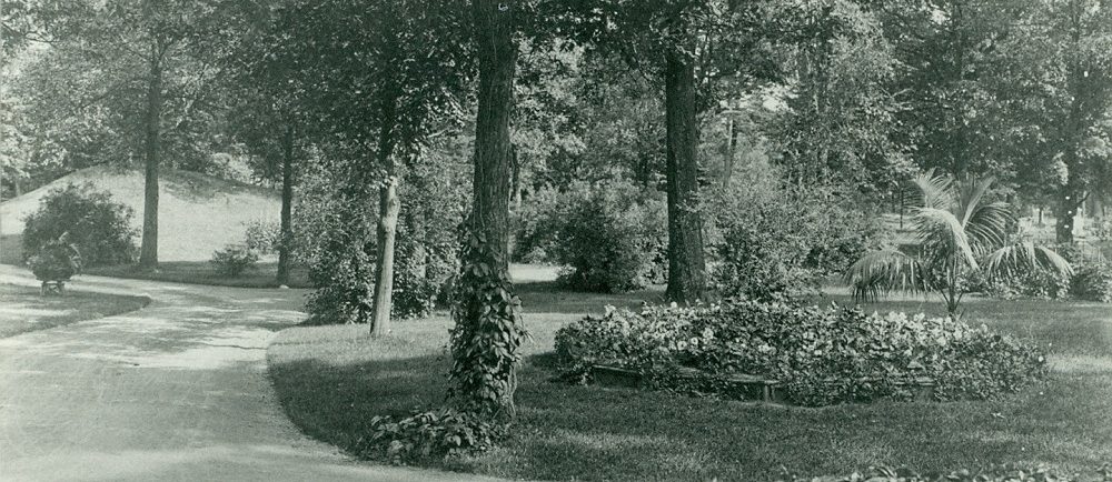 Black and white picture of a road surrounded by tree and luscious flower beds