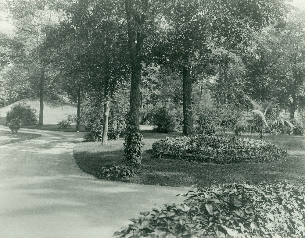 Black and white picture of a road surrounded by tree and luscious flower beds