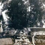 Graham in Cart
