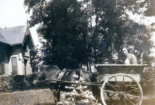 Black and white picture of horse and buggy. The buggy is made out of wicker and there's a man and child in the cart.