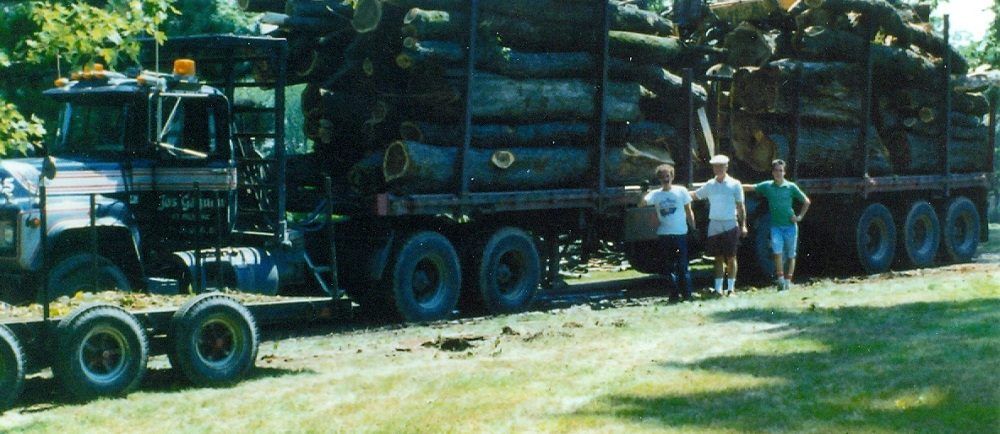 Photo couleur de troncs d'arbres massifs sur une caisse de camion avec trois hommes debout devant le camion