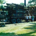 Elm Trees on the Truck
