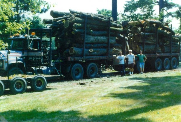 Colour picture of massive tree trunks on a truck bed with three men standing in front o the truck