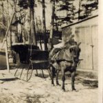 Horse and Buggy