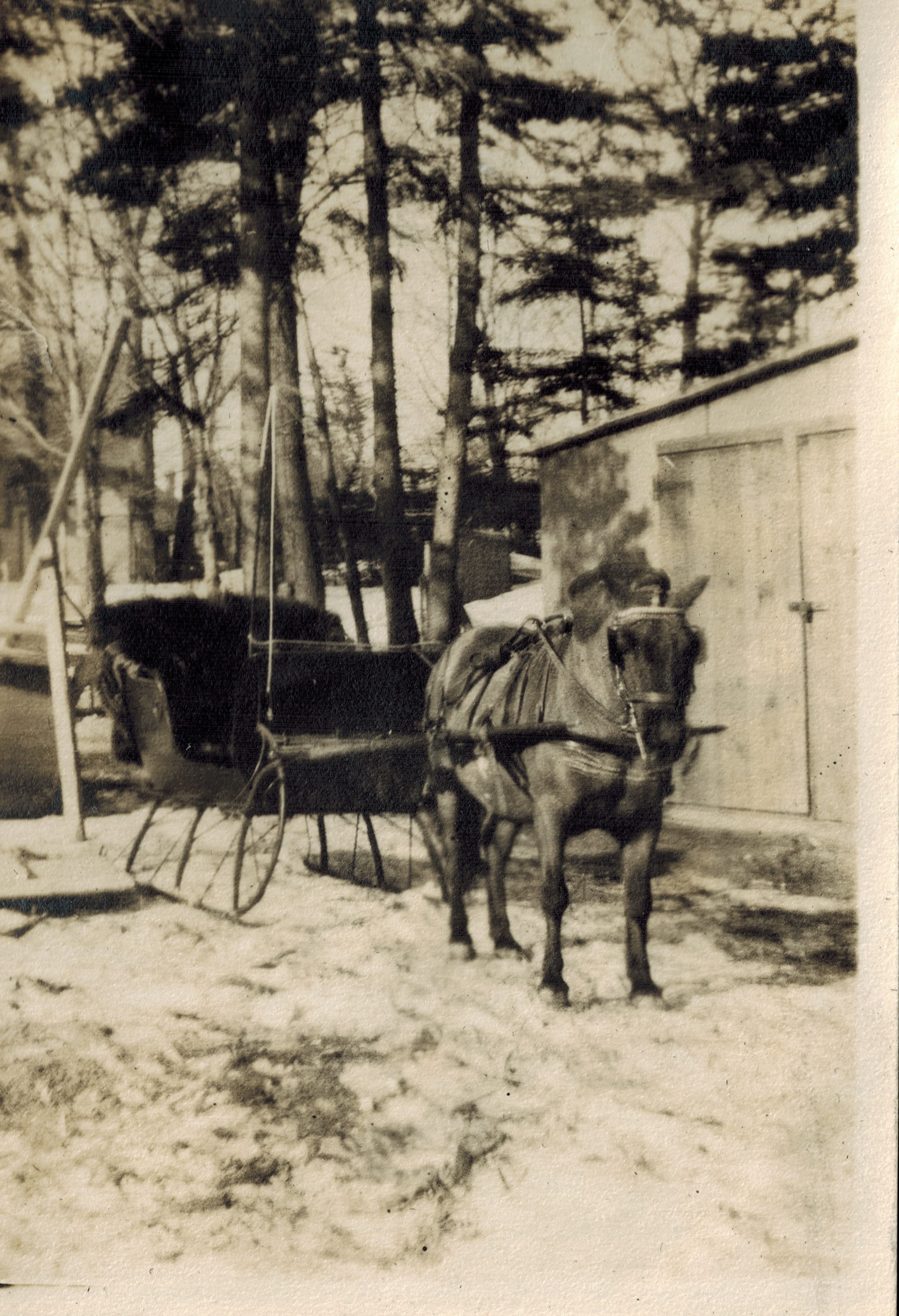 Black and white picture of a black sleigh being pulled by a dark pony in the snow.