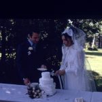 Wedding cake cutting
