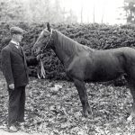 James and his Horse