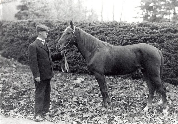 Black and white picture of a man dressed in a suit holding the reins of a smaller horse. They are standing in front of a cedar hedge on a gravel path.