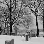 Snow scene