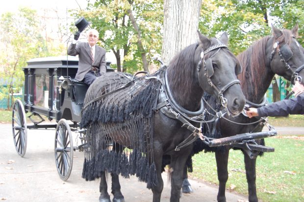 Coloured picture of a man sitting in front of a horse drawn hearse with two large horses.