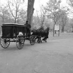 The Funeral Coach