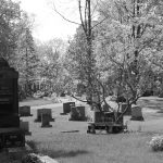 Cemetery Grounds