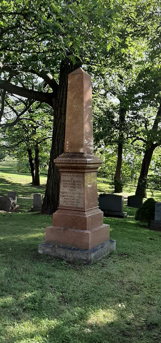 Coloured picture of a reddish tombstone in the grass and surrounded by trees