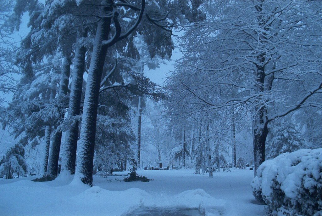 cemetery winter scene headstone buried under snow