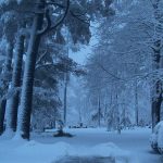 Winter at the Cemetery