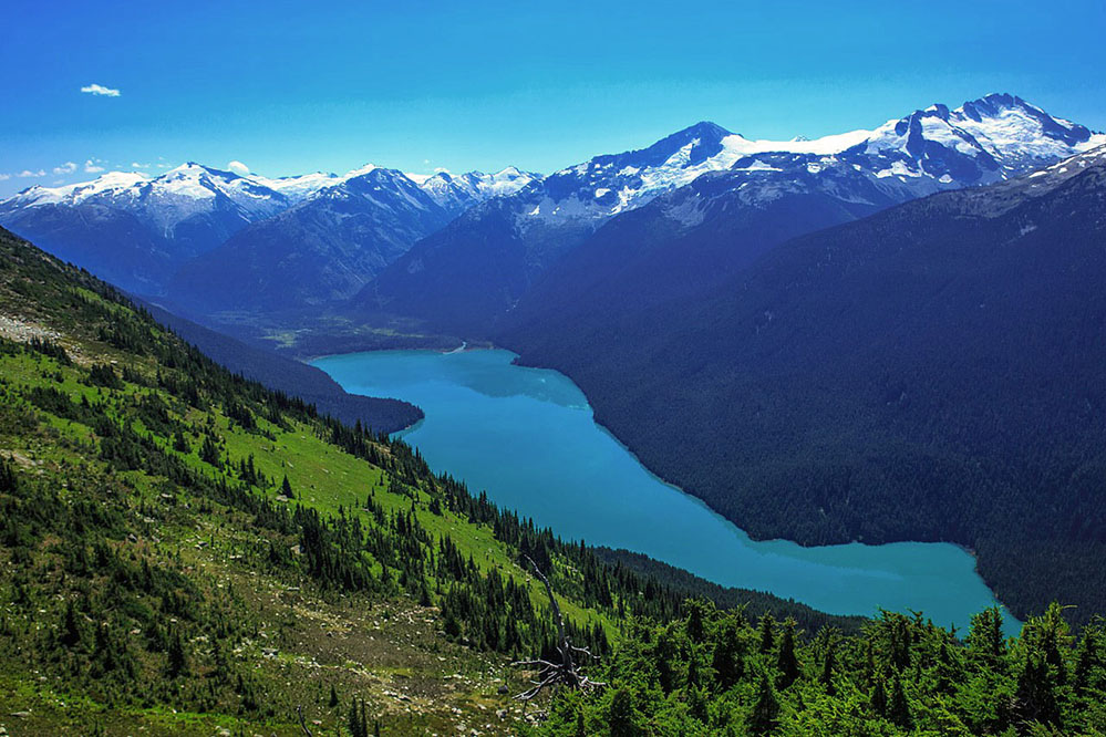 Looking down from the Highnote Hiking Trail down a bright green grassy slope, dotted with dark green evergreen trees to the glacial blue Cheakamus Lake.