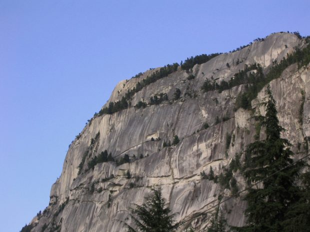 A side angle of the cliff face of the Stawamus Chief and the cracks within the face are dotted with evergreen trees that zigzag across its face. The sky is a deep blue above the cliff face.