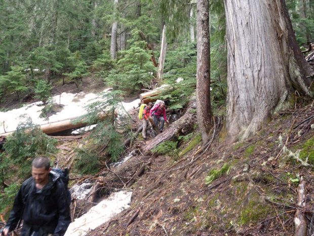 Two female club members hiking along a steep section of the trail maneuvering over a fallen tree. A man in a black jacket is in the foreground further down the trail near snow patches on the ground.