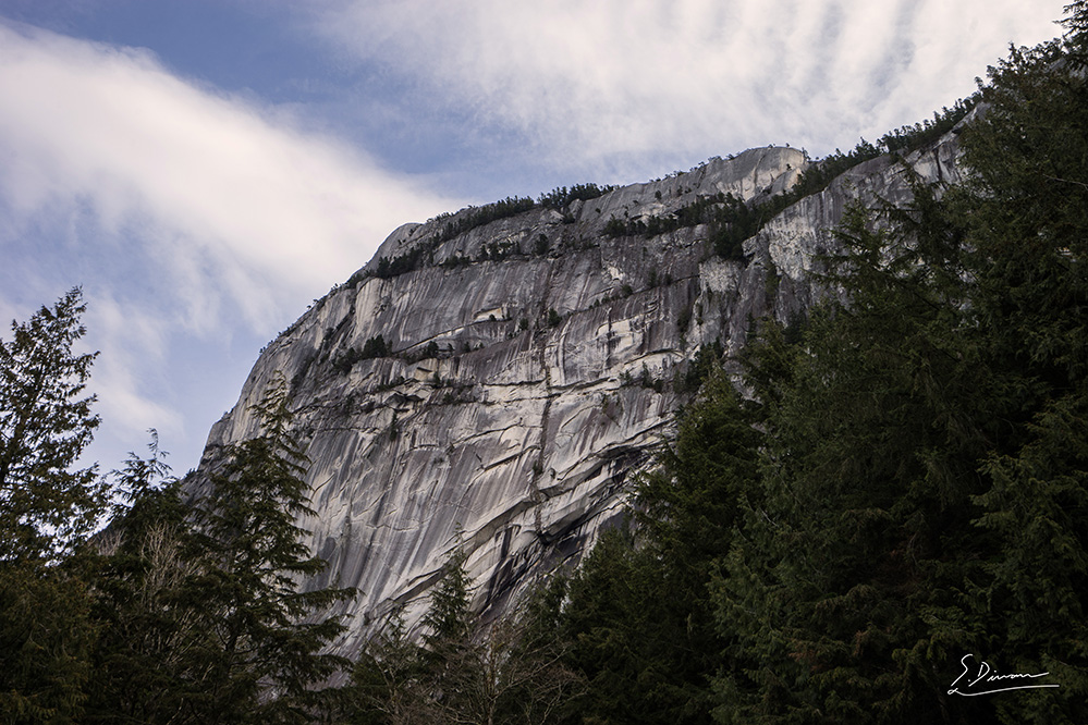 Looking up at dramatic sheer cliff face with small evergreen trees clinging to the edges. The Evergreen Trees around the photographer frames the grey rock of the cliff face and the blue sky with tufts of white cloud.