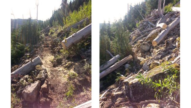 Two photos showing the before and after of trail construction work done to the trail to Watersprite Lake.