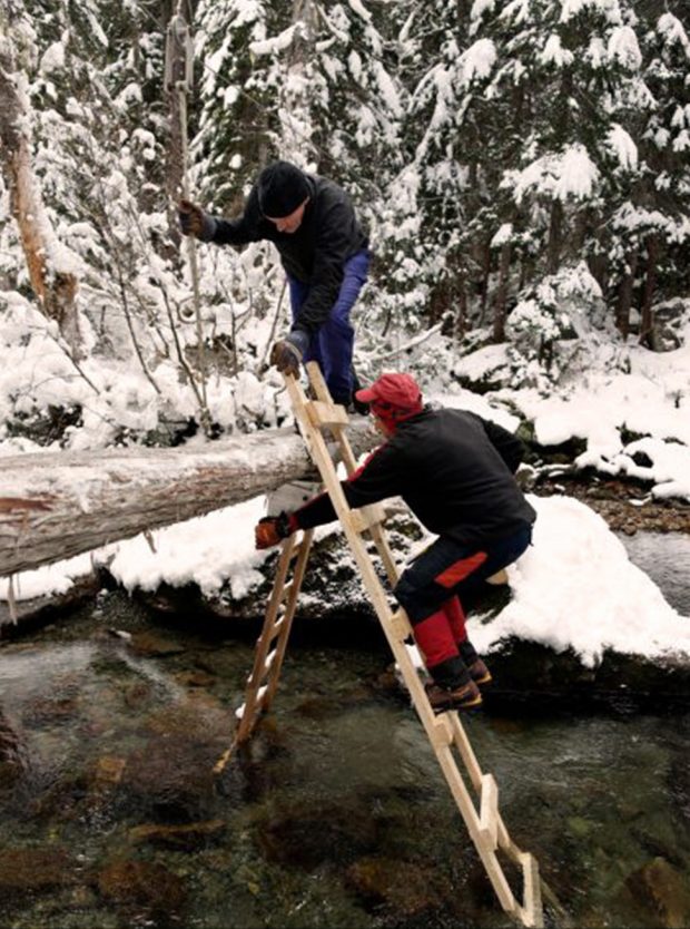 Two men are perched precariously on two hand built wooden ladders across from one another against a fallen tree over a flowing creek.