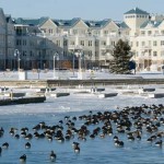 Cobourg Harbour Condos