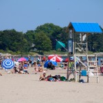 Beach in Summer