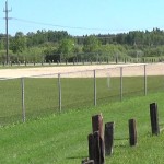 Kinsmen Diamond