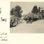 Xmas Greetings Card