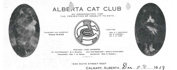 Letterhead for the Alberta Cat Club showing logo and two images of cats