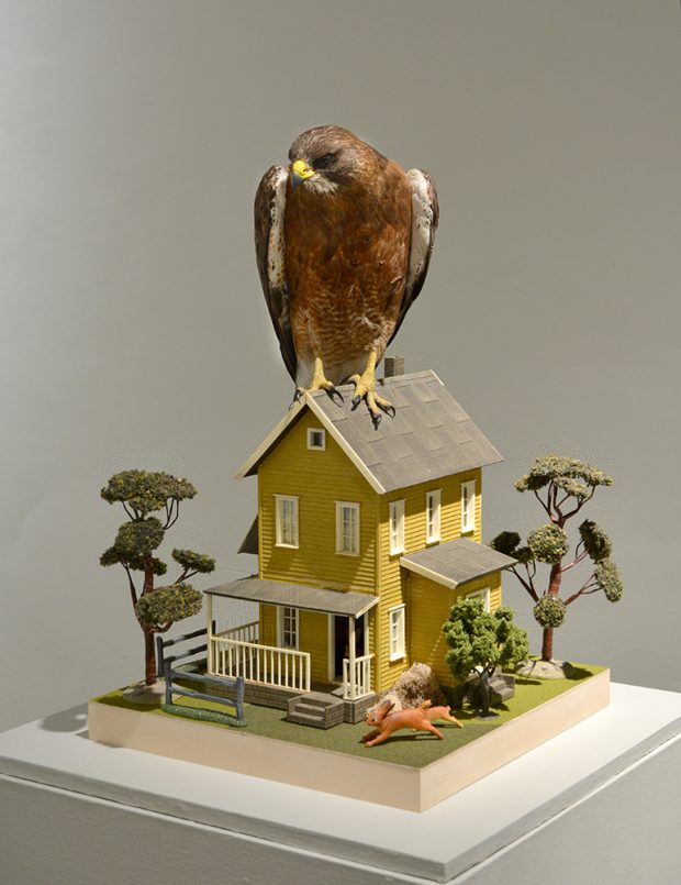 Taxidermed hawk standing on a yellow house of same size.