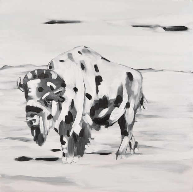 Stark black and white image of lone bison on field.