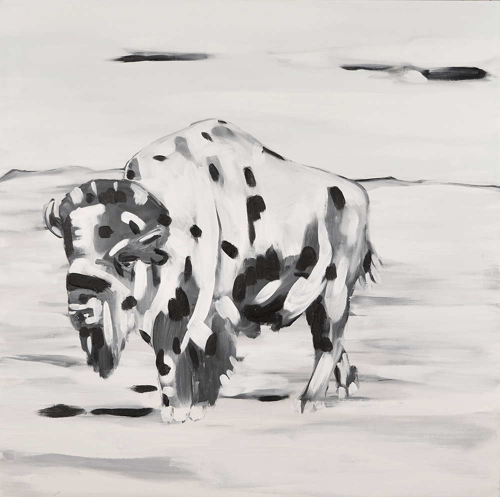 Stark black and white image of lone bison on field.