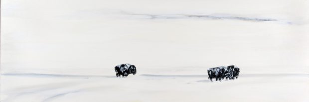 Stark white landscape with three black bison