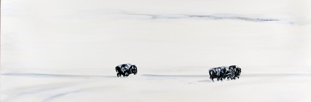 Stark white landscape with three black bison